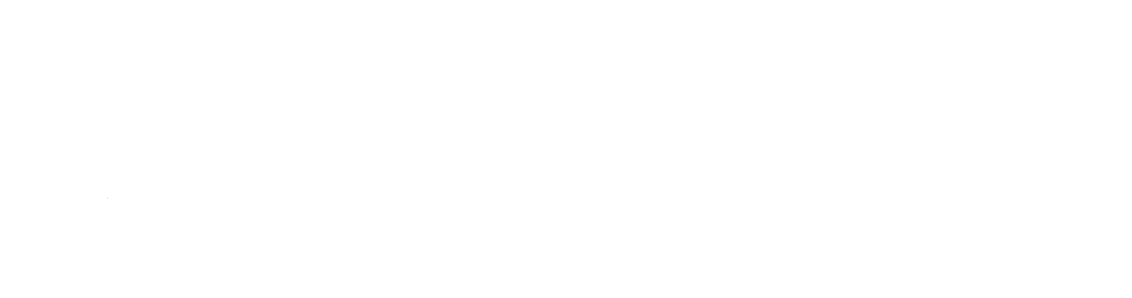 Verktakar DG